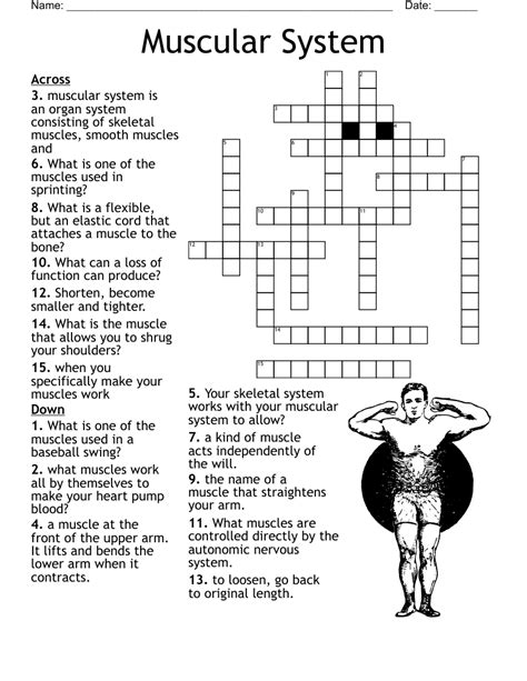 Cheek muscle crossword clue - Crossword Clue. The crossword clue Muscle worked by bench presses for short with 3 letters was last seen on the January 09, 2024. We found 20 possible solutions for this clue. We think the likely answer to this clue is PEC. You can easily improve your search by specifying the number of letters in the answer.